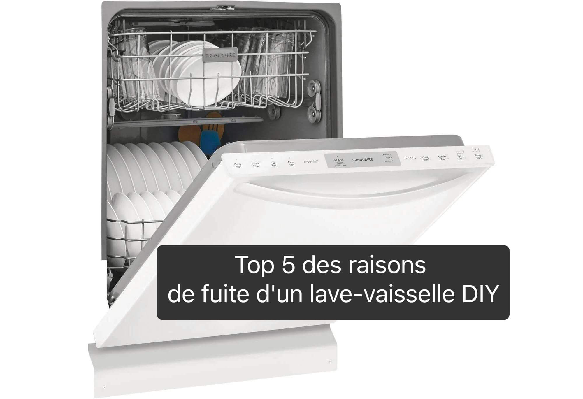 Top 5 des raisons de fuite d'un lave-vaisselle DIY